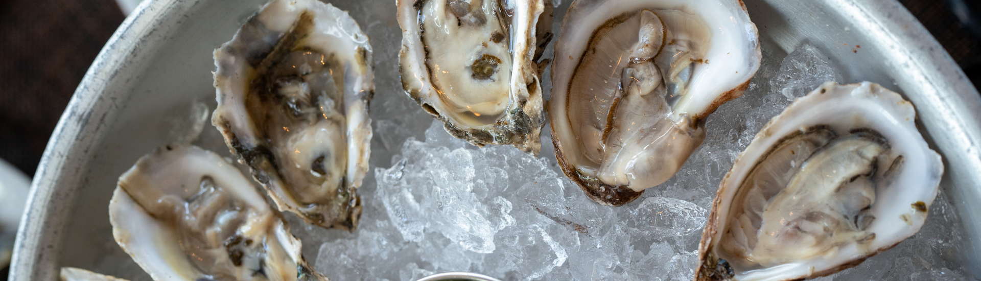 Sydney Rock oysters, Forster